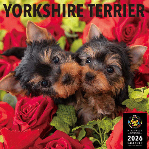 値下げ！【大型豪華版】ルドゥーテ画　美花選 2冊セット 2026年版・壁掛】 ピクトワン（PICTWAN） ヨークシャー・テリア