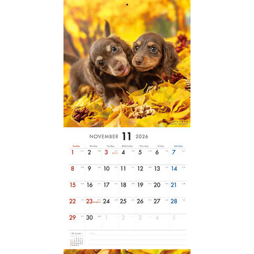 理英会　ピンポンワーク　新年長　年長　12か月分セット 理英会ピンポンワーク新年長年長12か月分セット