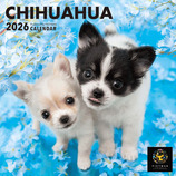 ✴️超特別価格【原画】『スゴロック居住区』犬　猫　動物画　パステル画　風景画 原画】『夢幻界侵入者』（猫 犬 動物 絵画 パステル画 風景画