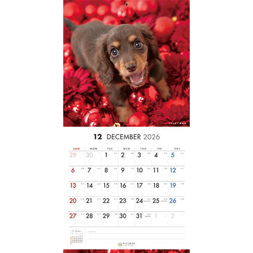 2026年版・壁掛】 ピクトワン（PICTWAN） ダックスフンド S版 S036