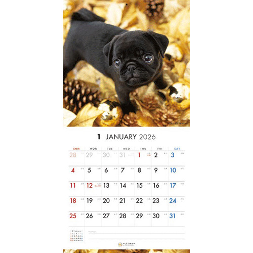 2026年版・壁掛】 ピクトワン（PICTWAN） パグ S版 S040｜【ハンズ