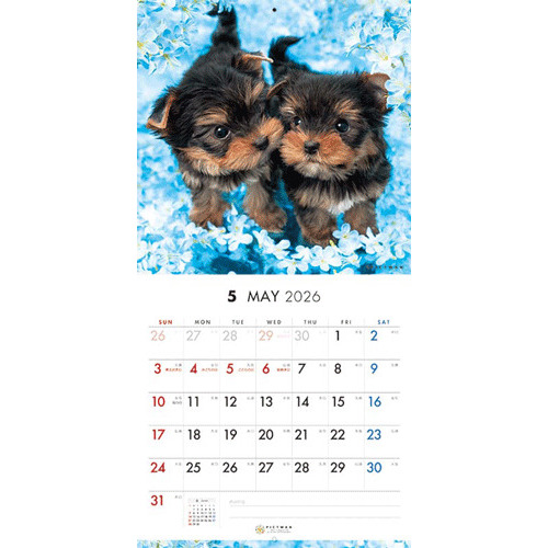 2026年版・壁掛】 ピクトワン（PICTWAN） ヨークシャー・テリア S版