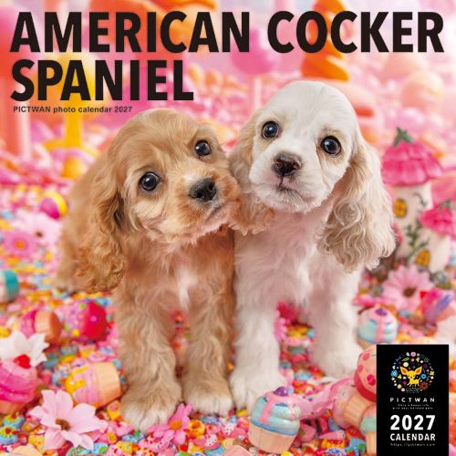 2027年版・壁掛】 ピクトワン（PICTWAN） アメリカン・コッカー