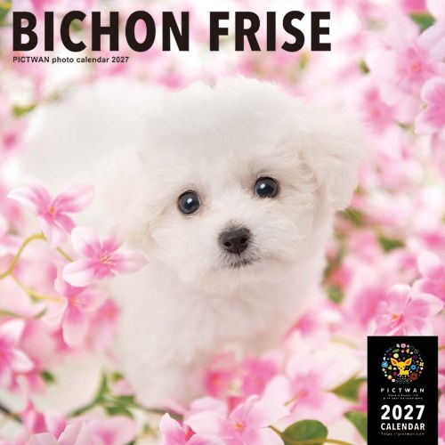 ウインドベル　ビションフリーゼ　希少 2027年版・壁掛】 ピクトワン（PICTWAN） ビション・フリーゼ L判 L003