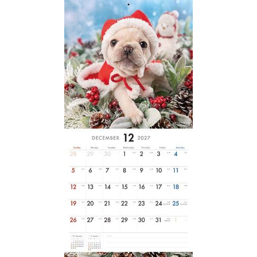 お値下♡未使用　スタンピンアップ　フランス語　猫と犬　クリスマス 2027年版・壁掛】 ピクトワン（PICTWAN） フレンチ・ブルドッグ L判