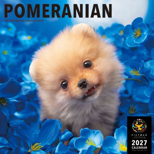 2027年版・壁掛】 ピクトワン（PICTWAN） ポメラニアン L判 L020