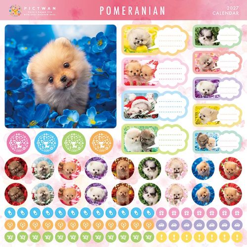 オーダー受付　パネル　ポメラニアン　4/20 2027年版・壁掛】 ピクトワン（PICTWAN） ポメラニアン L判 L020