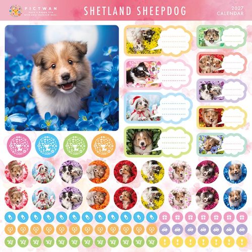 2027年版・壁掛】 ピクトワン（PICTWAN） シェットランド