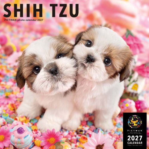 2027年版・壁掛】 ピクトワン（PICTWAN） シー・ズー L判 L026