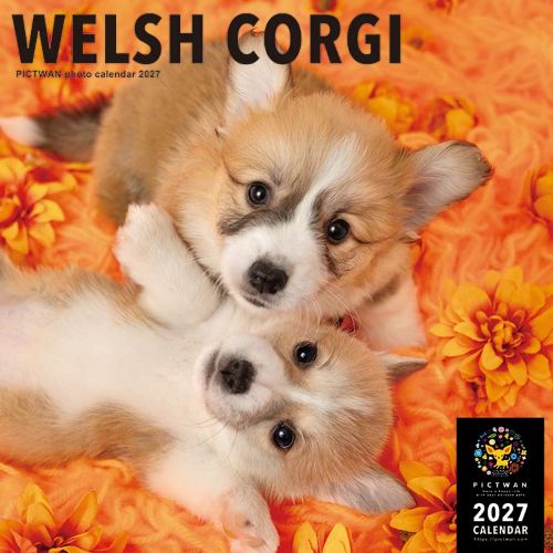 2027年版・壁掛】 ピクトワン（PICTWAN） ウェルシュ・コーギー L判