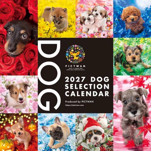 【新品】日本畜犬学会 ペット技法DVDシリーズ 25枚セット 2027年版・壁掛】 ピクトワン（PICTWAN） ドッグ・セレクション L判