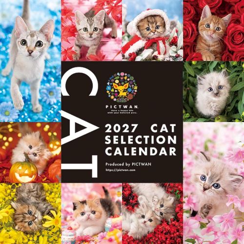 2027年版・壁掛】 ピクトワン（PICTWAN） キャット・セレクション L判