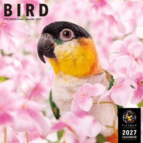 2027年版・壁掛】 ピクトワン（PICTWAN） バード L判 L036｜【ハンズ