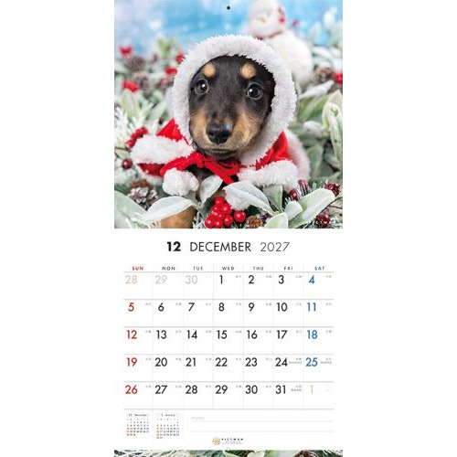 お値下♡未使用　スタンピンアップ　フランス語　猫と犬　クリスマス 2027年版・壁掛】 ピクトワン（PICTWAN） ダックスフンド S判 S039