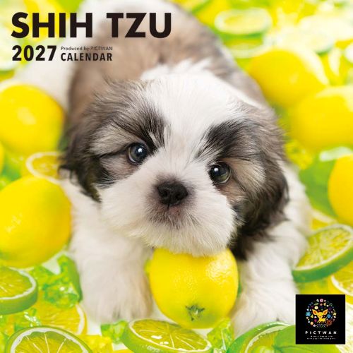 2027年版・壁掛】 ピクトワン（PICTWAN） シー・ズー S判 S046