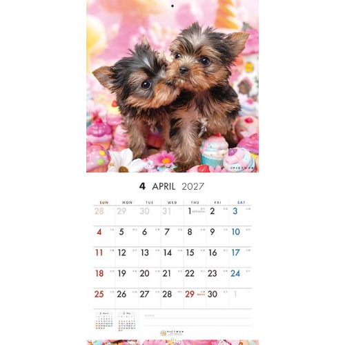 2027年版・壁掛】 ピクトワン（PICTWAN） ヨークシャー・テリア S判