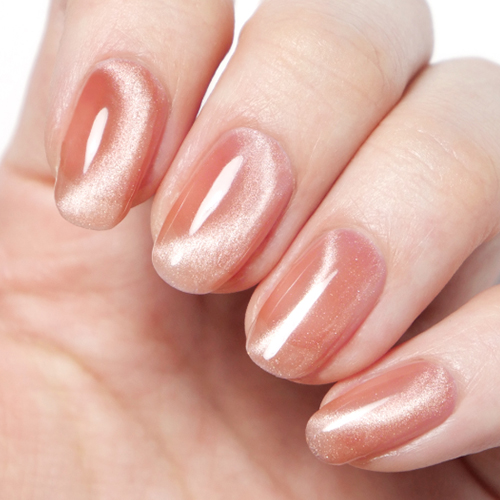 【希少・ほぼ未使用美品・上下巻セット】ホメオパシー マテリアメディカ HOMEI ホーメイ ウィークリージェル MG8・MG09