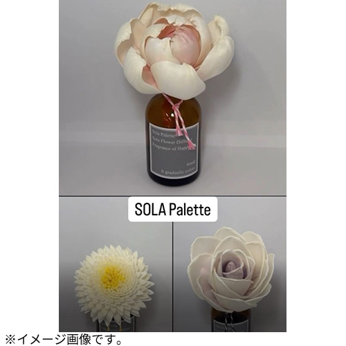 ソラパレット（SOLA Palette） ソラフラワーディフューザー パープル