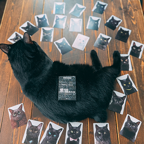 THE AWASEシリーズ 黒猫あわせ｜【ハンズネットストア】