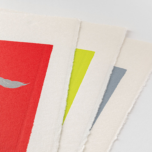 カレンダー　フリース 2026年版・壁掛】 ミドリ（MIDORI） 壁掛カレンダー 越前和紙 S