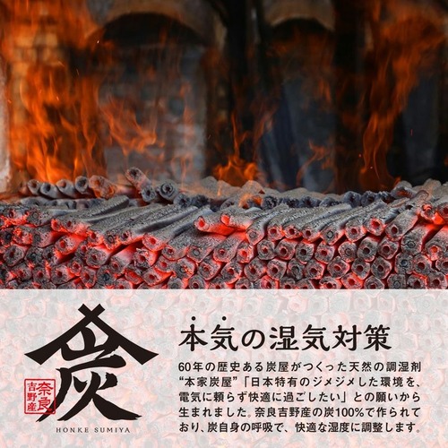 レック（LEC） 調湿・消臭木炭 本家炭屋 スリムタイプ M C01347