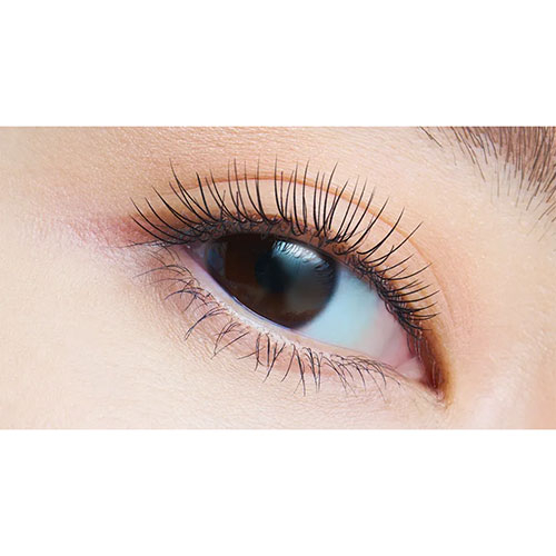 デジャヴュ（dejavu） ファイバーウィッグ ウルトラロングE1 ブラック