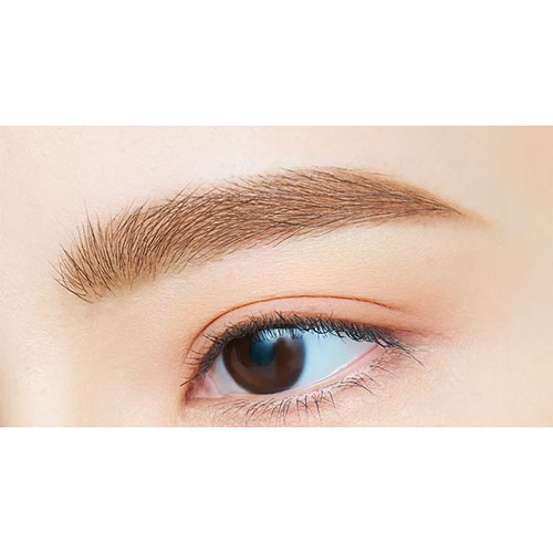 デジャヴュ（dejavu） ステイナチュラE ウォームブラウン｜【ハンズ