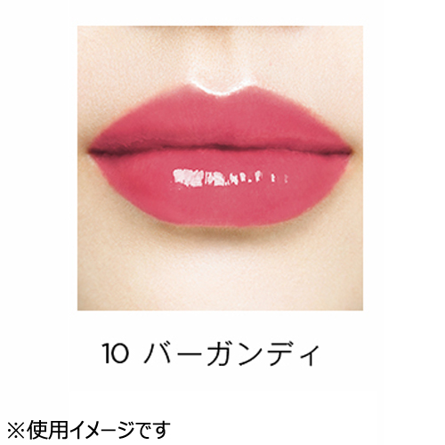 販売期間終了 オペラ Opera スティックグロス シアーリップカラーrn 10 バーガンディ 口紅 リップグロス 東急ハンズネットストア