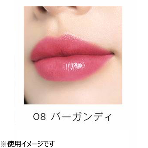 販売期間終了 オペラ Opera ティントオイルルージュ リップティントn 08 バーガンディ 口紅 リップグロス 東急ハンズネットストア