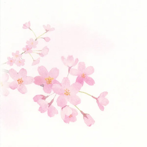 エヌビー社 封筒 春五集 桜仰ぎ見て 5811271｜【ハンズネットストア】