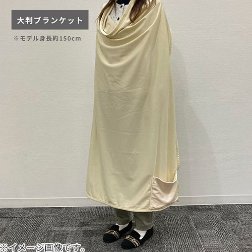ゴーウェル（GOWELL） 持ち運べるリバーシブルブランケット GW-3139