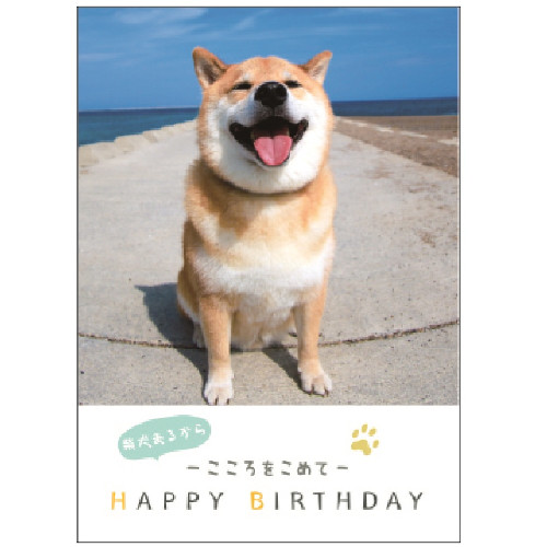 学研ステイフル 柴犬まる 誕生日カード 豆ブック B 柴犬まる カード ポストカード バースデー 誕生日カード 東急ハンズネットストア