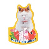 学研 かご猫 バースデー ミニカード (タイ) B20410