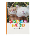学研 KGNメッセージブック E10050 かご猫