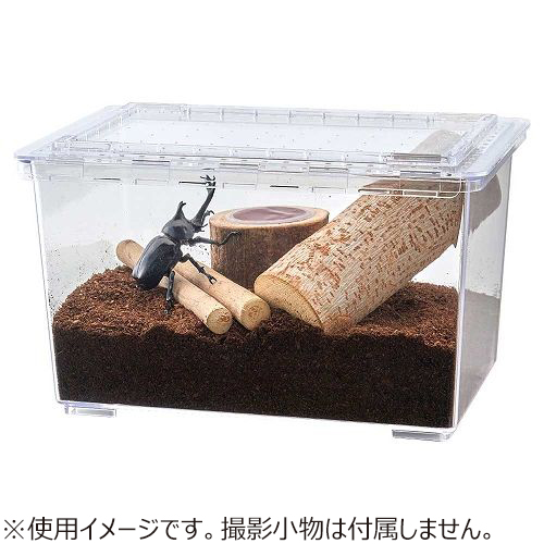マルカン 昆虫の木3種 ベーシックセット T‐135｜【ハンズネットストア】