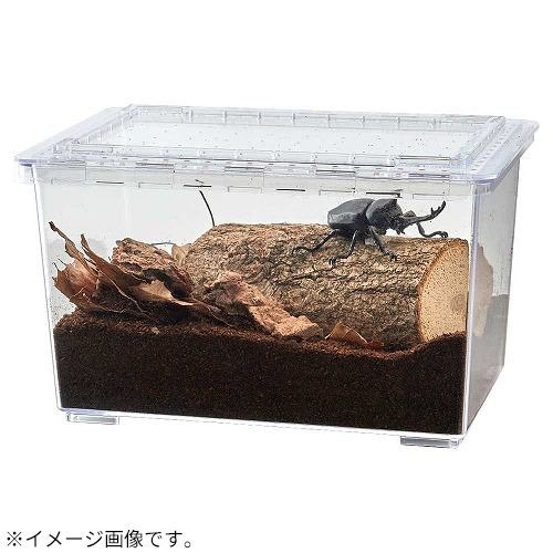 マルカン 昆虫の木3種 アップグレードセット