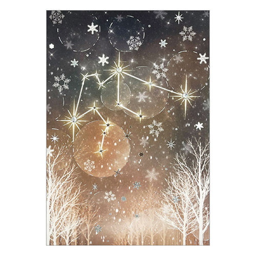 クローズ・ピン 12星座ラインストーンポストカード 水瓶座 PC16601