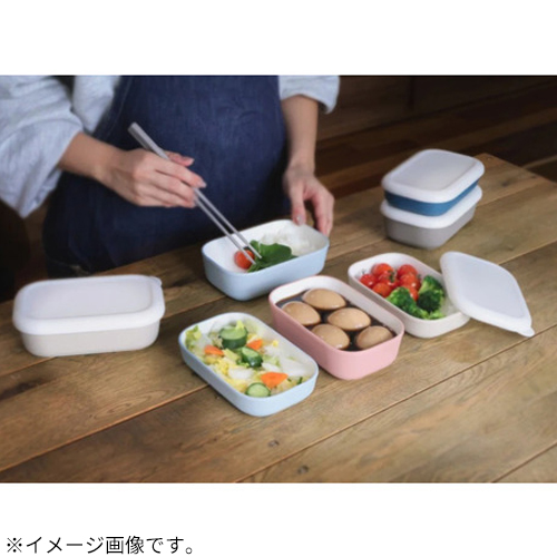 竹中（TAKENAKA） デリプレップ（Deli prep） ランチコンテナー M T