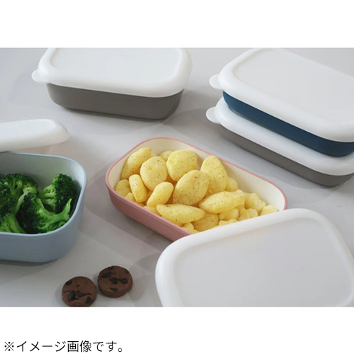竹中（TAKENAKA） デリプレップ（Deli prep） ランチコンテナー M T