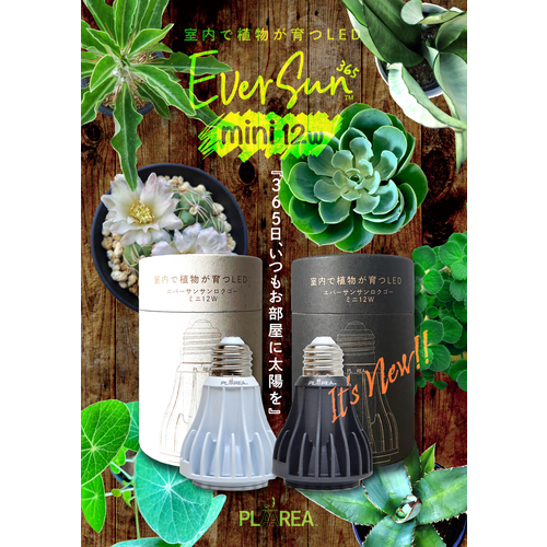 ゼンスイ プラエリア（PLAAREA） エバーサン（EverSun） 365mini 12W