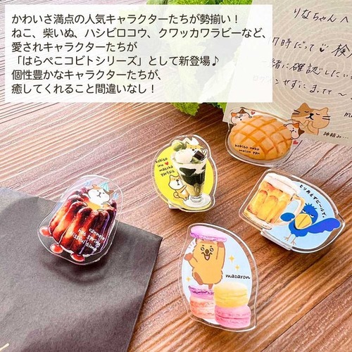 パインブック 2Wayクリアークリップ コビトシリーズ k502011 ねこパン