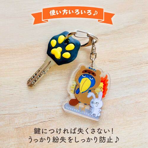 パインブック なりきり変身キーホルダー k601011 赤ずきん×ねこ
