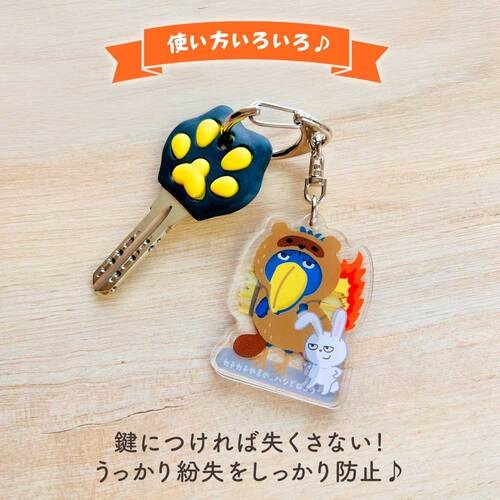 パインブック なりきり変身キーホルダー k601012 浦島太郎×ねこ