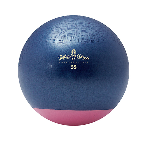 リラクシングワーク ジムボールStayPlus 55cm NH3620