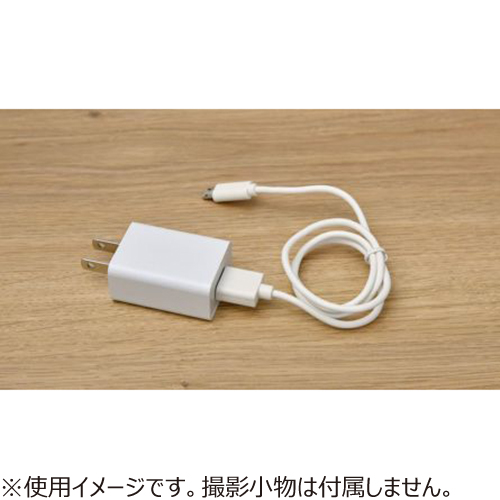 プリズメイト Prismate Acアダプター Usb接続式 Pr F054 携帯 スマホアクセサリー モバイルバッテリー 携帯充電器 東急ハンズネットストア