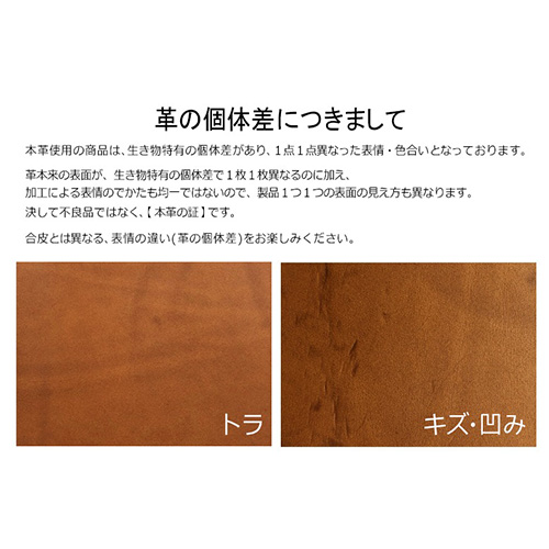 プロッター（PLOTTER） リスシオ A5サイズ 77716811 ワイン