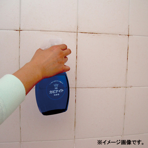「カビナイト」の画像検索結果