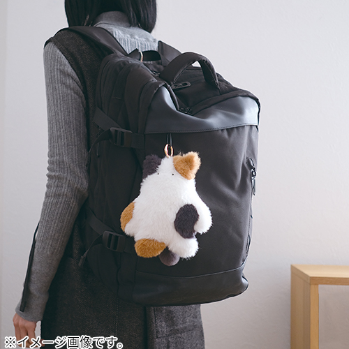 キシマ ネコティ エコハンドウォーマー サバ｜【ハンズネットストア】