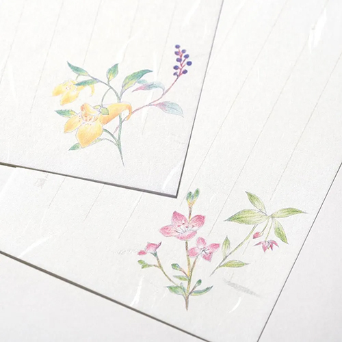 G.C.PRESS 一筆箋 紙司撰 249－53 野の花｜【ハンズネットストア】