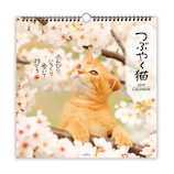 【2019年版・壁掛】 日本ホールマーク リングカレンダー大 つぶやく猫 743796